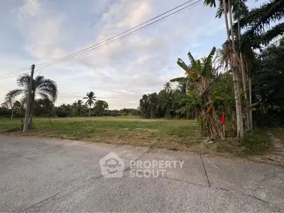 Spacious land plot with lush greenery and palm trees, perfect for development or investment.