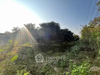 Lush green garden with trees under a clear blue sky, perfect for serene living.