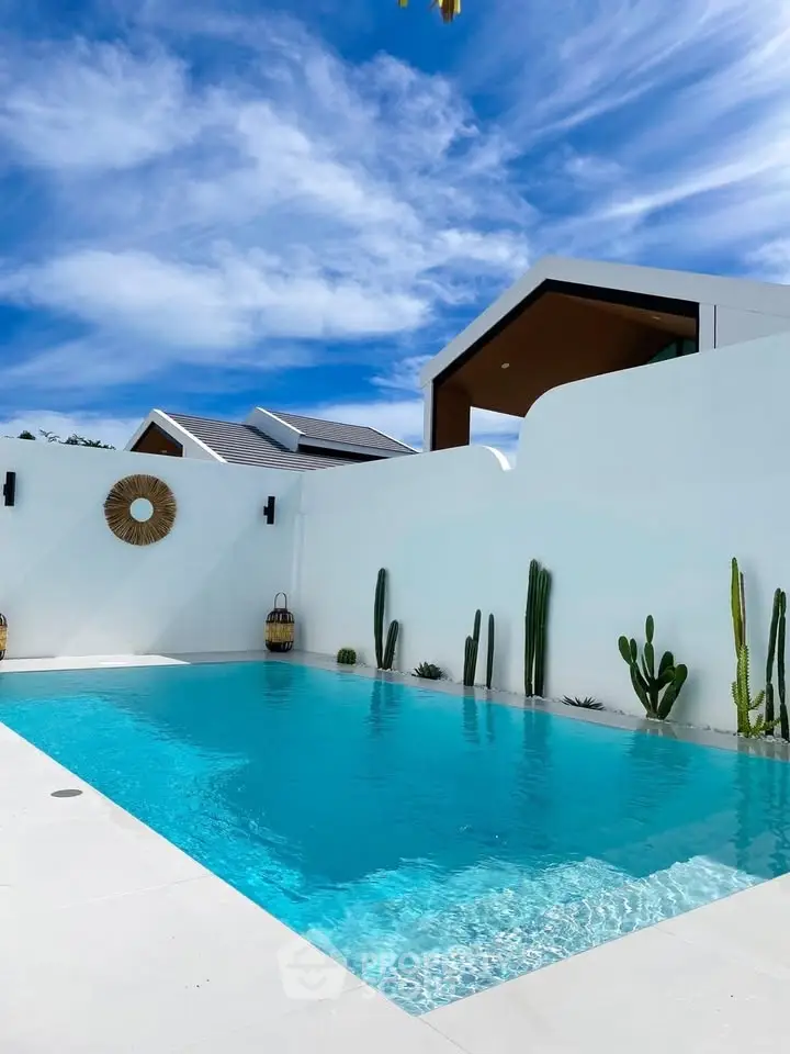Luxurious modern pool with pristine white walls and cacti under a clear blue sky.