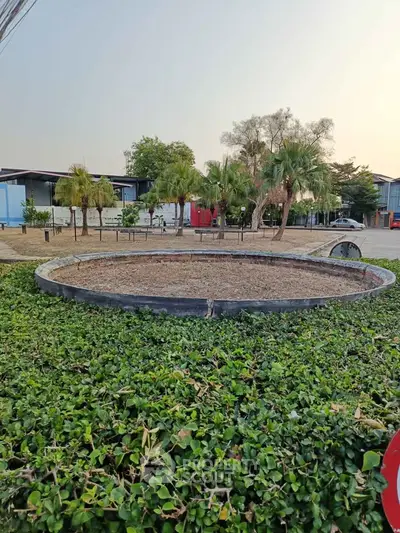 Charming garden area with lush greenery and palm trees, perfect for relaxation and outdoor activities.