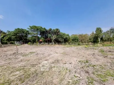 image_rental-27603992