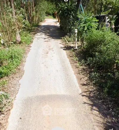 Charming rural pathway surrounded by lush greenery, ideal for serene country living.