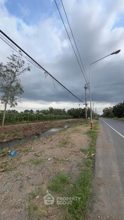 Scenic roadside view with lush greenery and expansive sky