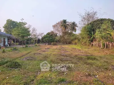 Spacious land plot with lush greenery and mature trees, ideal for development or investment opportunities.