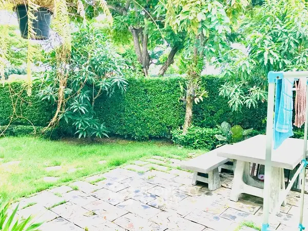 Charming garden with lush greenery and stone pathway, perfect for outdoor relaxation.