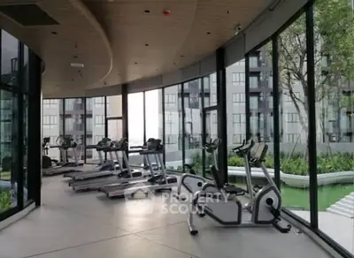 image_rental-31737875