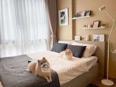 image_rental-27780539