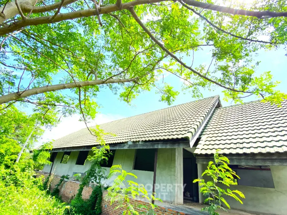 Charming countryside house with rustic roof surrounded by lush greenery and serene environment.