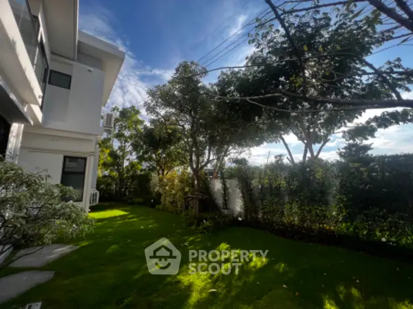 image_rental-19876598