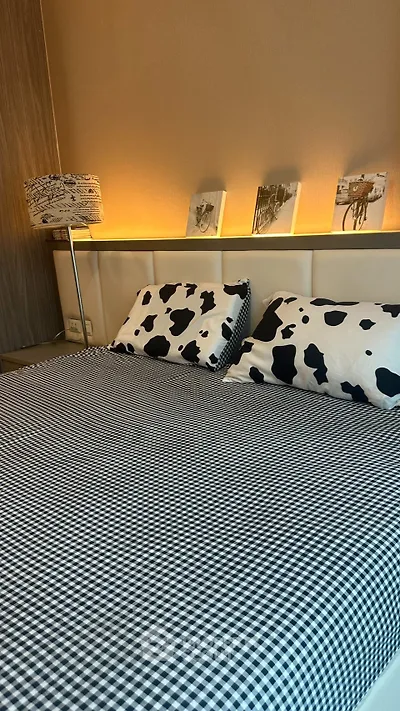Cozy bedroom with stylish cow-print pillows and checkered bedding, featuring ambient lighting and modern decor.