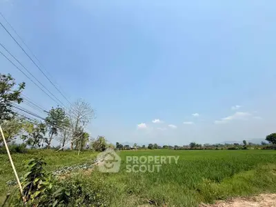 image_rental-31522189