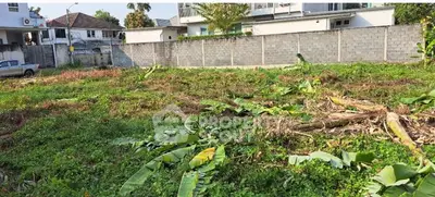 image_rental-30131999