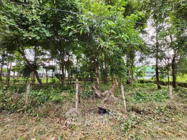 image_rental-13294349