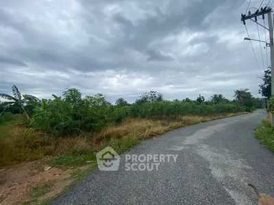 Scenic rural road with lush greenery and overcast sky, ideal for tranquil living.
