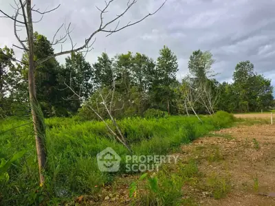 Scenic vacant land with lush greenery and trees, perfect for development opportunities.