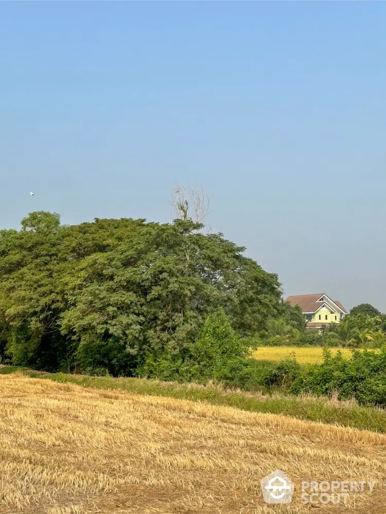 Idyllic countryside estate with lush greenery and expansive fields, offering a serene and private living experience amidst nature.