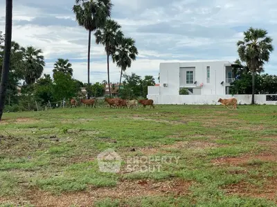 Charming countryside property with modern white house and lush greenery, perfect for serene living.