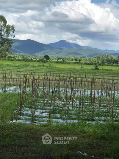 image_rental-27953194