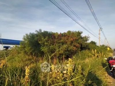 Vacant land with lush greenery and clear sky, ideal for development opportunities.