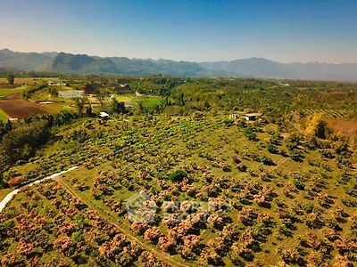 Scenic aerial view of lush green farmland with mountains in the background, perfect for agricultural investment.