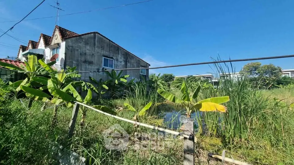 Charming countryside property with lush greenery and serene pond view, perfect for nature lovers seeking tranquility.