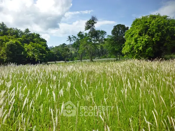 image_rental-11898919