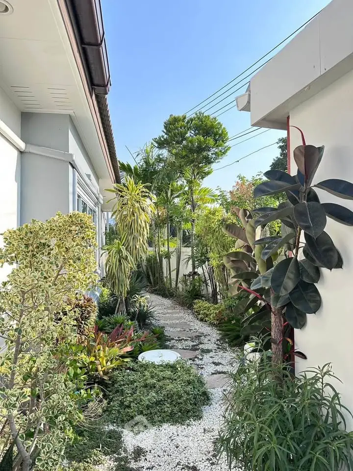 Charming garden pathway with lush greenery and vibrant plants in a modern residential setting.