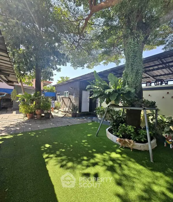 image_rental-28581472