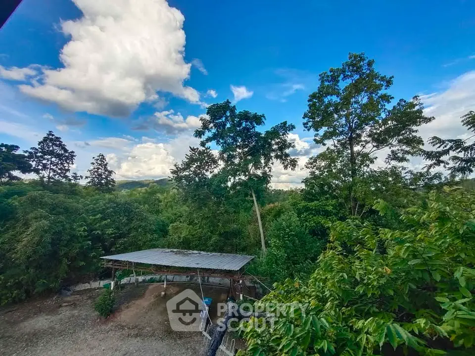 Scenic view of lush greenery and clear blue sky from a property, ideal for nature lovers.