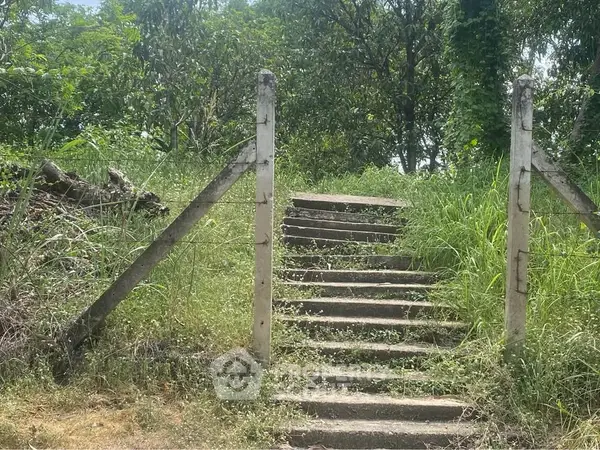 image_rental-31341296