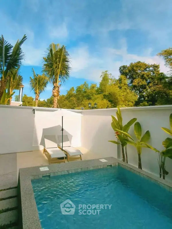 image_rental-28609302