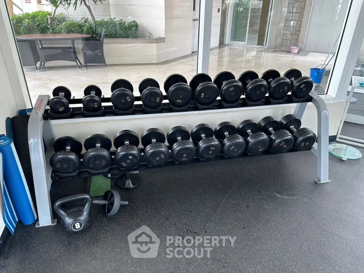 Modern gym with a full set of dumbbells and exercise equipment, perfect for fitness enthusiasts.