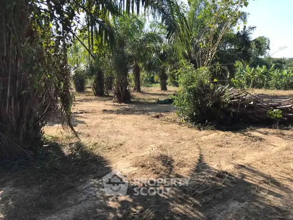 image_rental-28025142