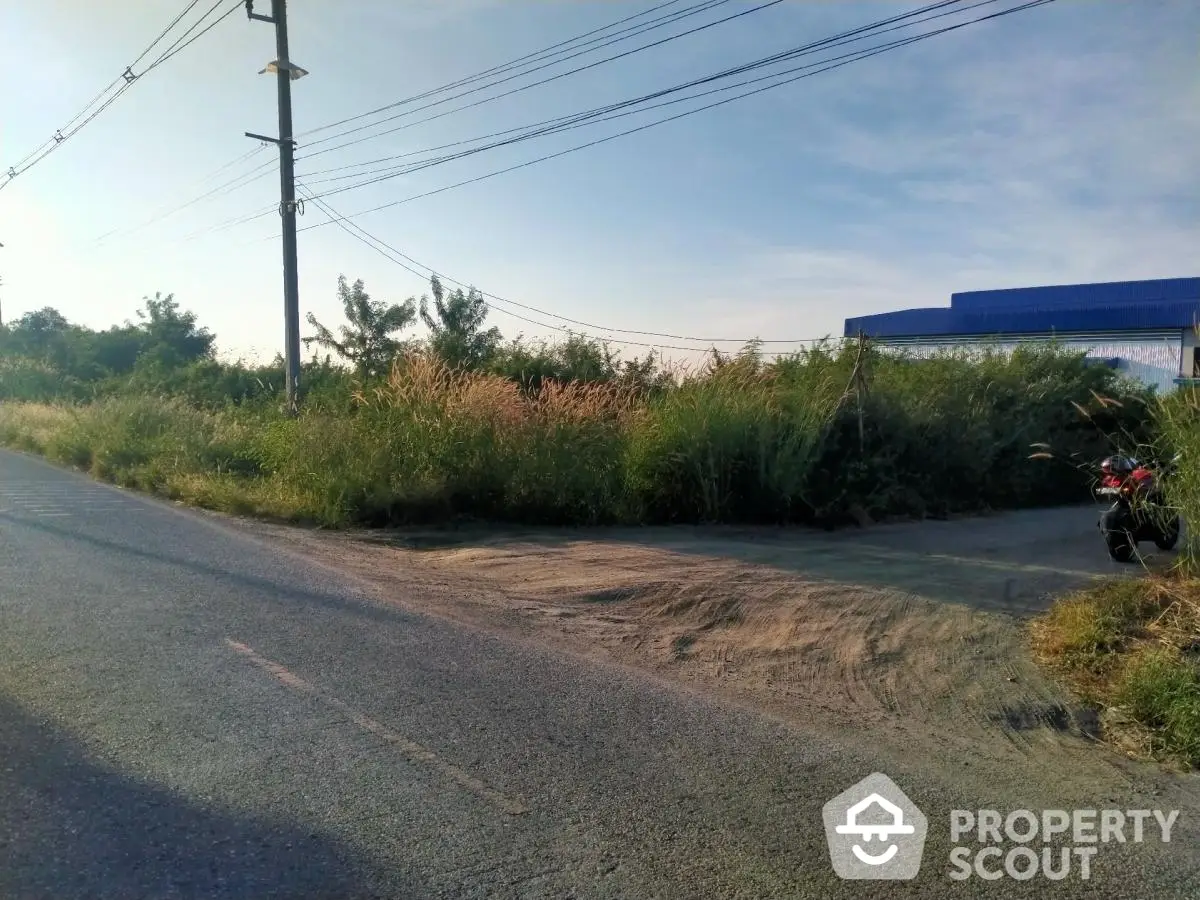 Vacant land plot with road access and lush greenery, ideal for development opportunities.