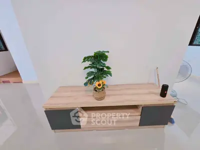 Modern minimalist living room with sleek wooden TV stand and decorative plant.