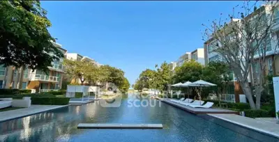 image_rental-27204059