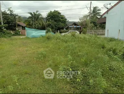 image_rental-36000052