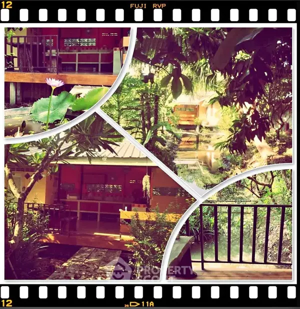 image_rental-29510022