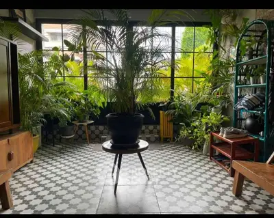 Charming living room with lush indoor plants and stylish furniture, creating a serene and inviting atmosphere.