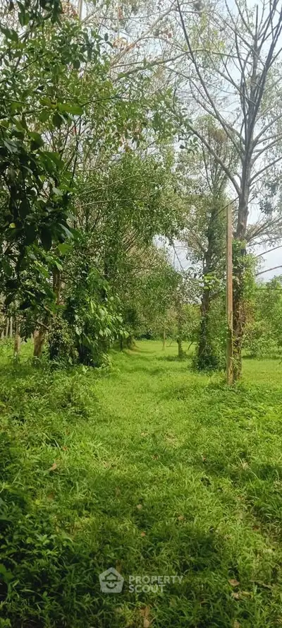 Lush green landscape with trees and open grassy area, perfect for serene outdoor living.