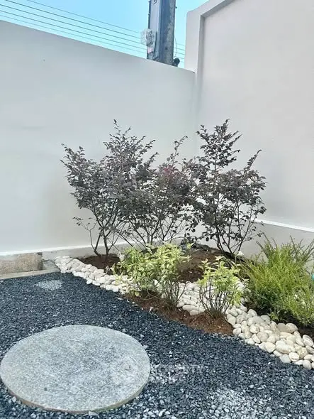 Charming small garden with decorative stones and lush greenery in a modern outdoor space.