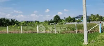 Expansive green field with clear blue sky, ideal for real estate development.