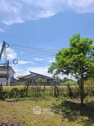 Charming rural property with lush greenery and clear blue skies, perfect for serene living.