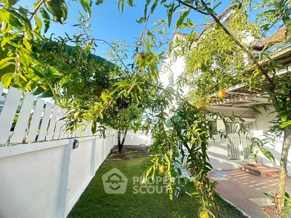 image_rental-28421845