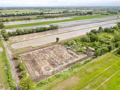 Expansive agricultural land with lush greenery and potential for development.