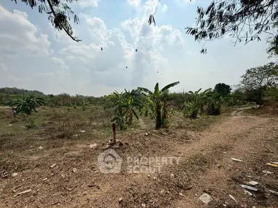 Expansive land plot with lush greenery and clear skies, perfect for development opportunities.