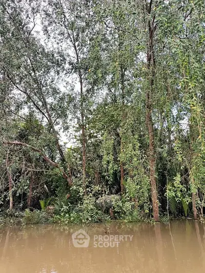 image_rental-27384569