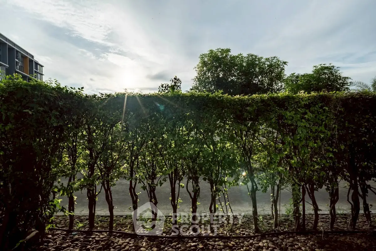 Serene garden view with lush greenery and sunlight filtering through hedges, perfect for nature lovers.