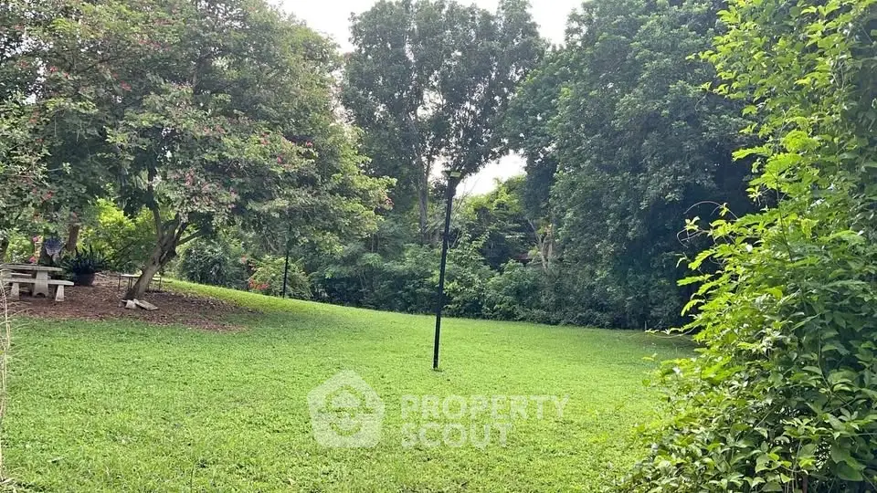 Lush green garden with mature trees and open grassy area, perfect for outdoor activities.