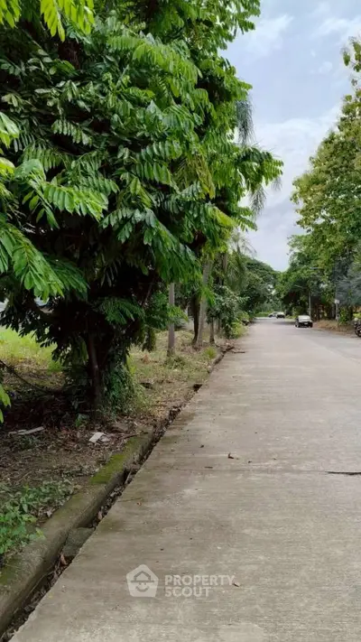 Serene tree-lined street with lush greenery and clear skies, perfect for peaceful living.